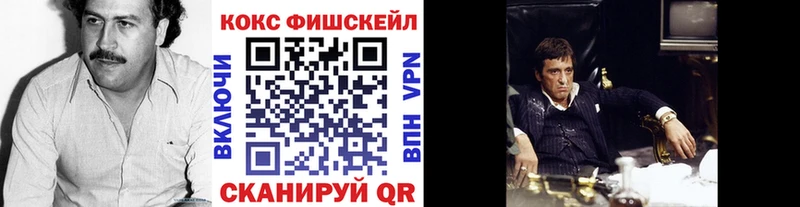 Кокаин FishScale  Купить закладки  Гатчина 