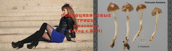 ECSTASY Киренск