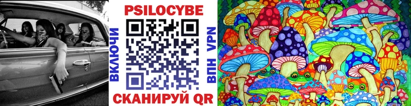 Псилоцибиновые грибы мухоморы Гатчина