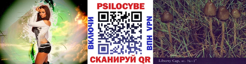 Псилоцибиновые грибы Psilocybe  Купить  Гатчина 